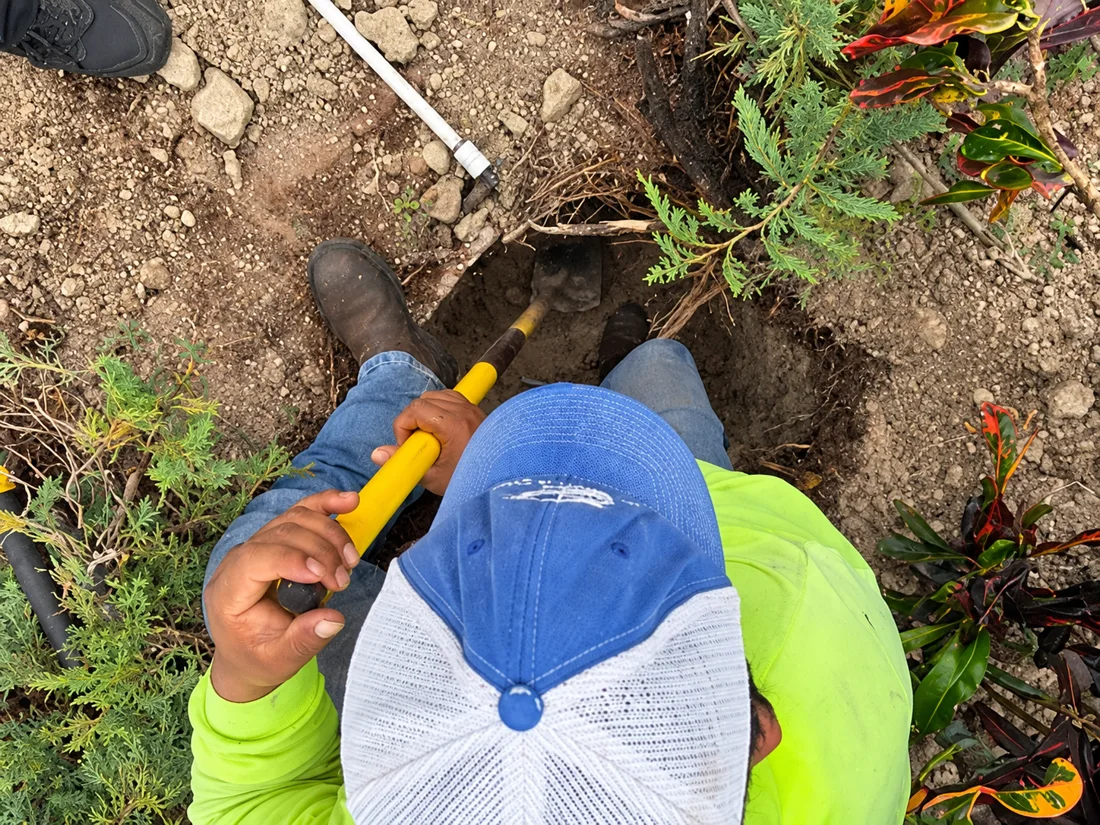 An FBR crew member excavating by hand beside existing landscaping