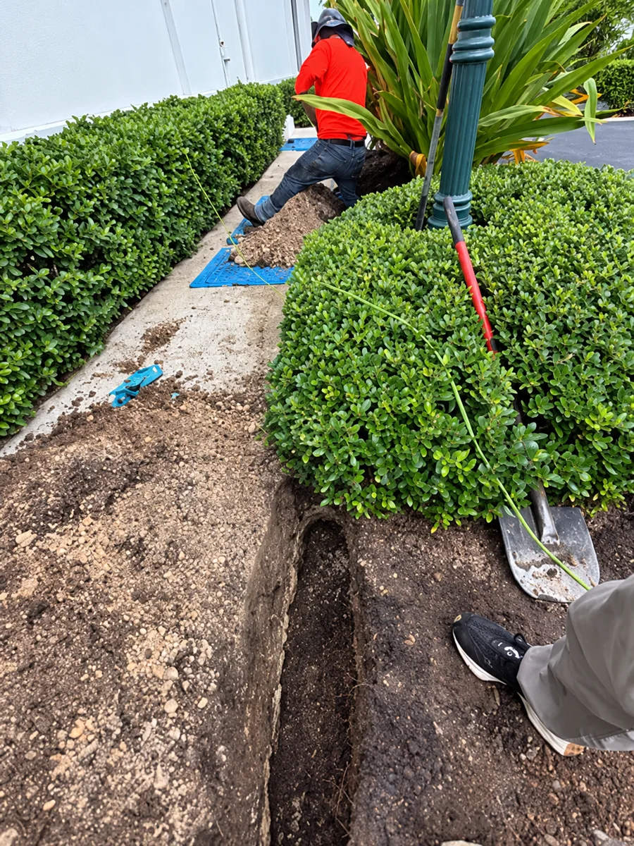 Crew working in a narrow landscaped area beside a walkway